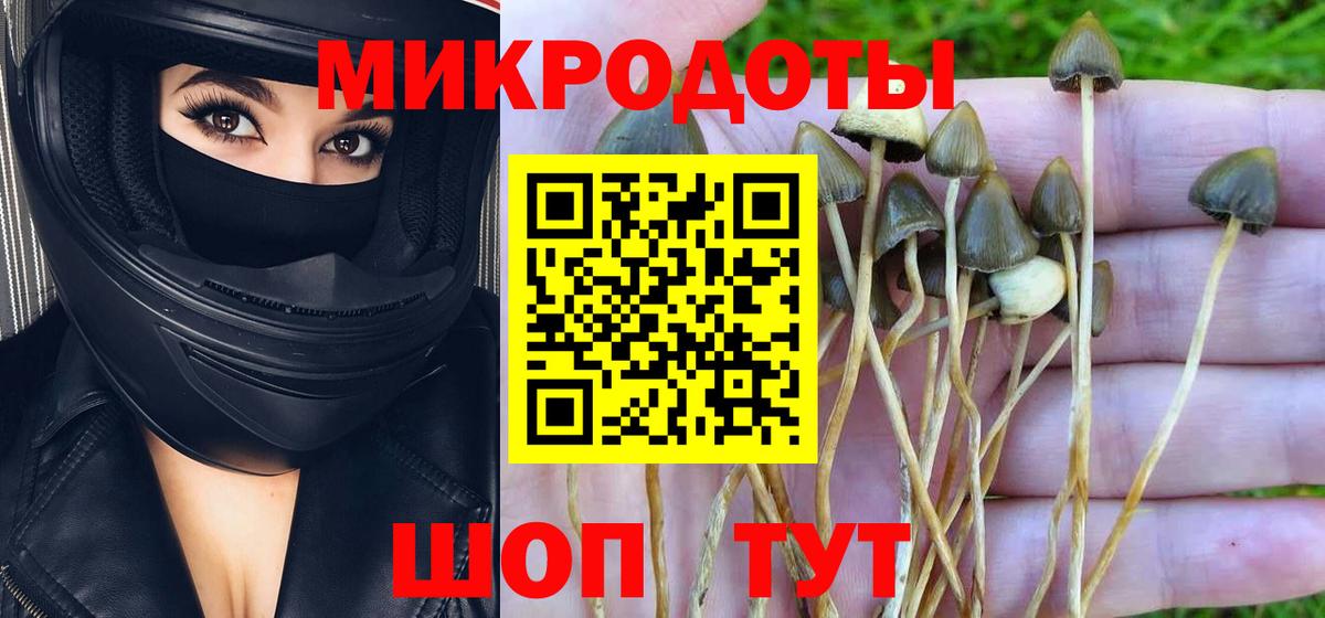 Галлюциногенные грибы прущие грибы  Вход с VPN  Киселёвск  Галлюциногенные грибы Magic Shrooms 
